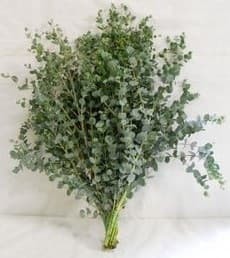 Greens EUC GUNNI 305-0002